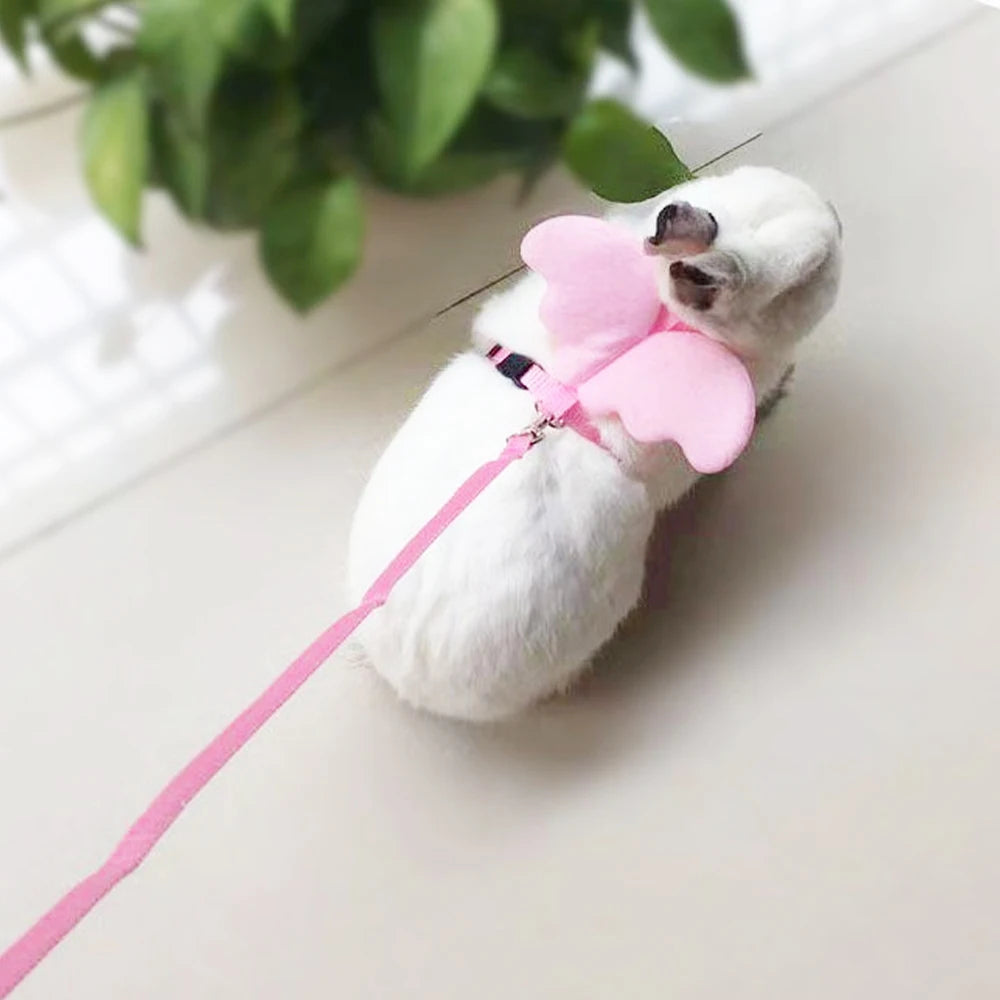Angel Wing Small Pet Harness & Leash – Cats, Rabbits & Ducks