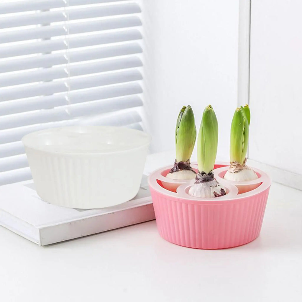 Hydroponic Planter 3 Hole Vase Flower Bulb Planting Container