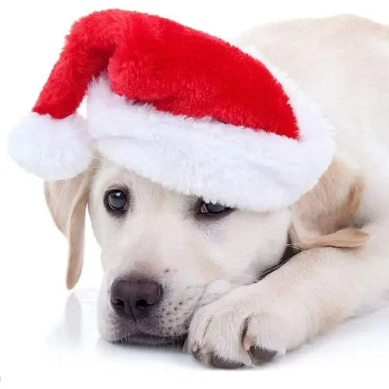 Festive Pet Santa Hats Dogs Cats Plush Christmas Costume Cap Small