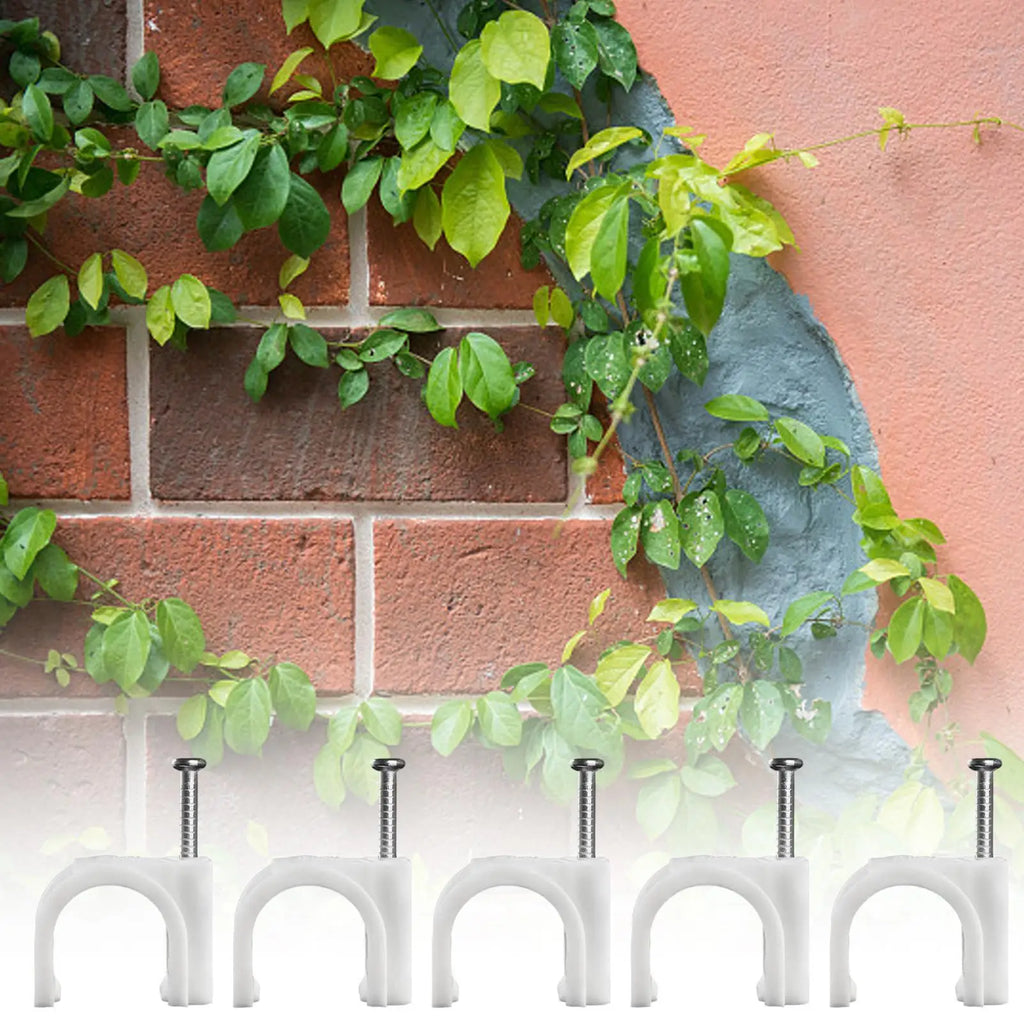 100-Pack Plant Wall Clips – Climbing Plant & Cable Fixers Plant Support Clips Zpaxo