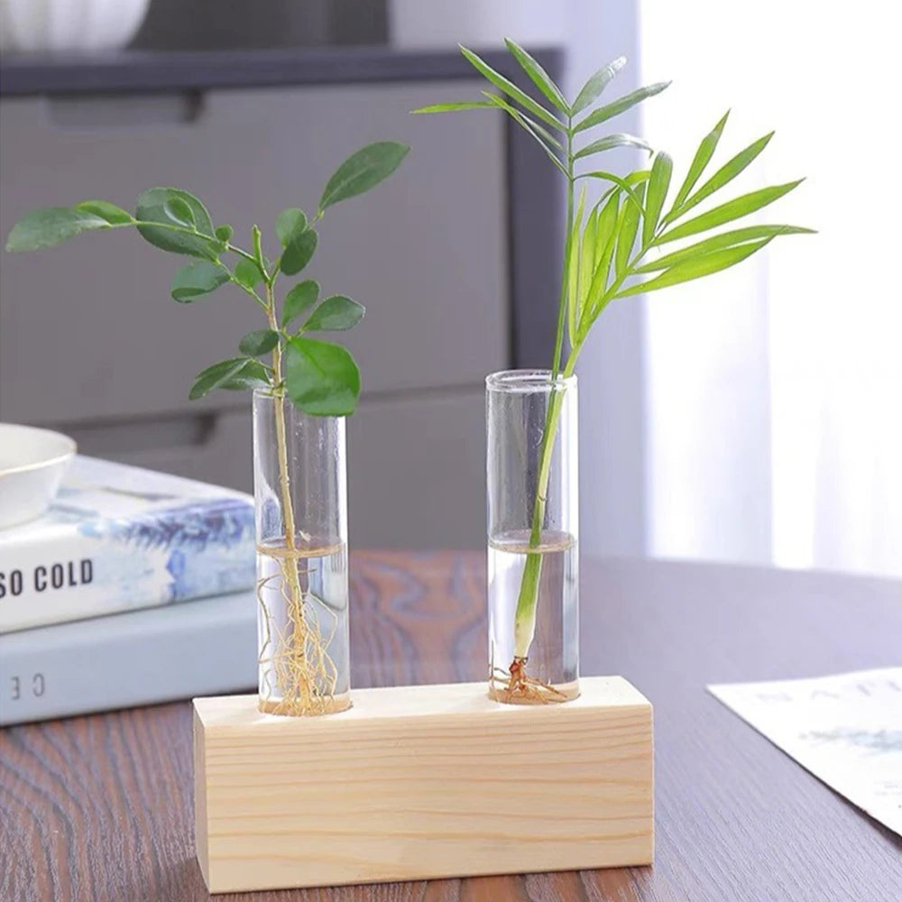 Test Tube Glass Vase Plant Propagation Station Hydroponic Vases for Plants with Wooden Stand Terrarium Office Home Desktop Decor Zpaxo