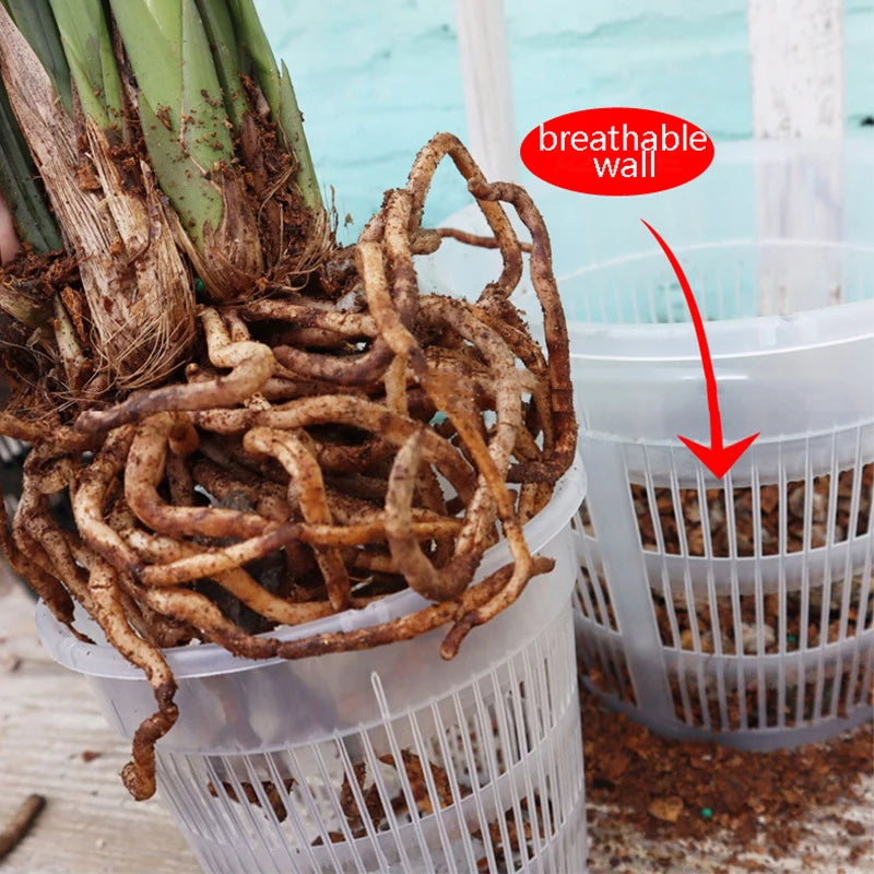 11/14cm Garden Flower Pot Plastic Mesh Pot Root Control Transparent Flowerpot For Orchid Flower Breathable Growth Container Zpaxo