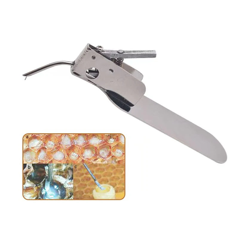Beekeeping Grafting Tool Single End Queen Bee Larva Needle
