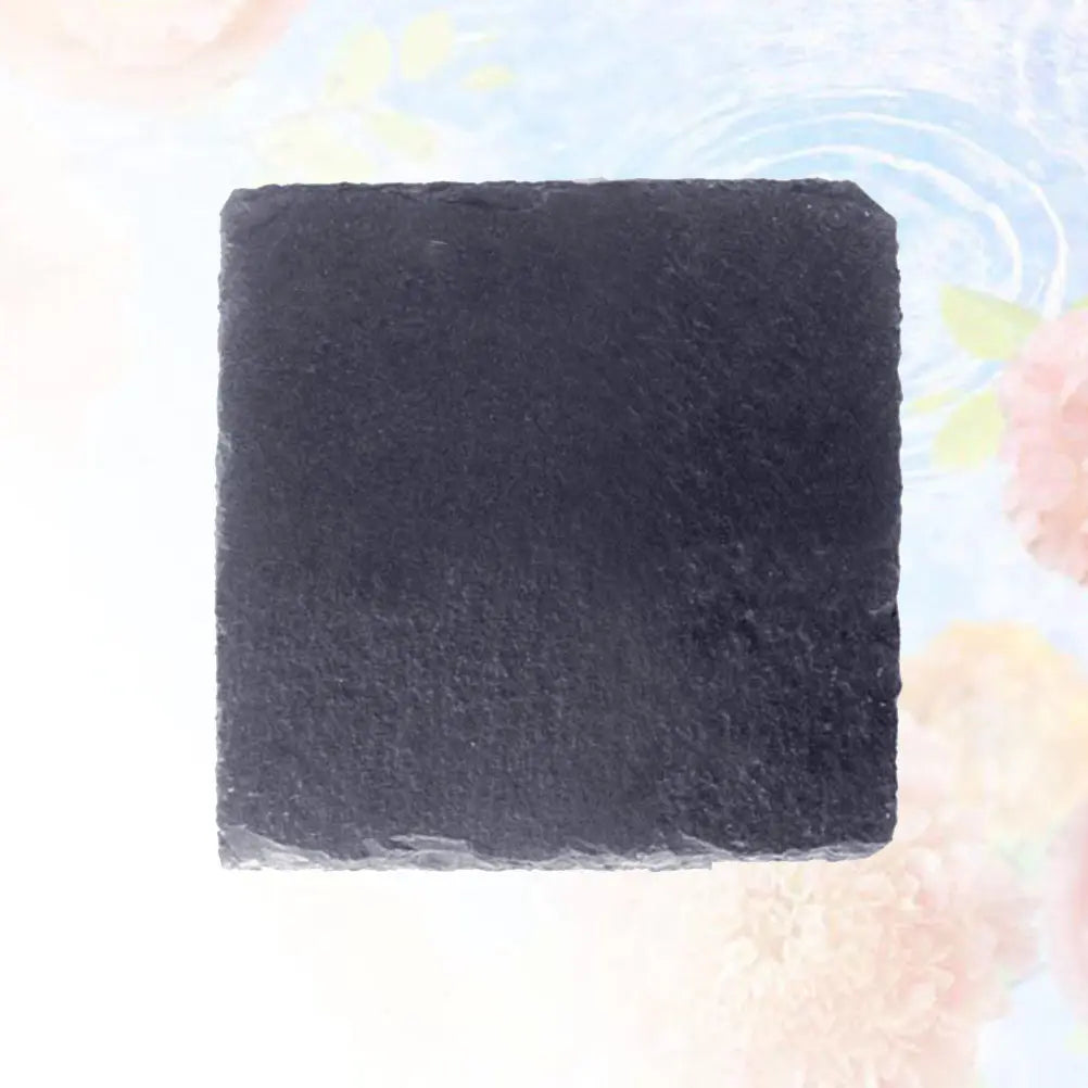 Turtle Reptile Food Dish Plate 10x10cm Moisture Absorbing Natural
