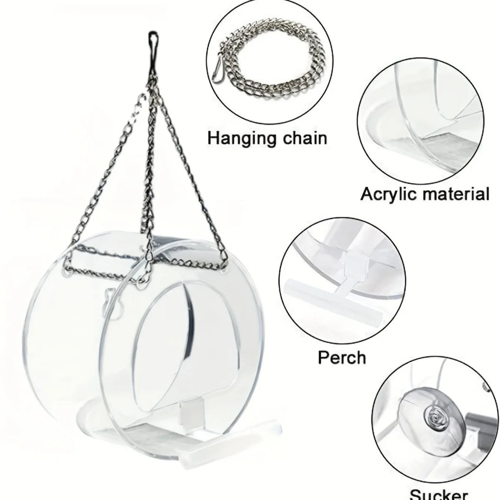 Round Acrylic Bird Feeder Courtyard Hanging Suction Cup PMMA