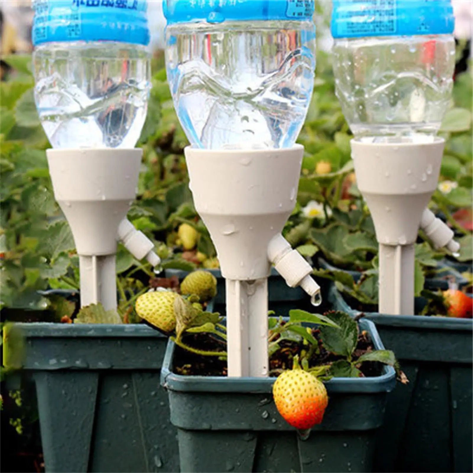 Automatic Plant Watering Spikes Self Devices Control Valve Potted