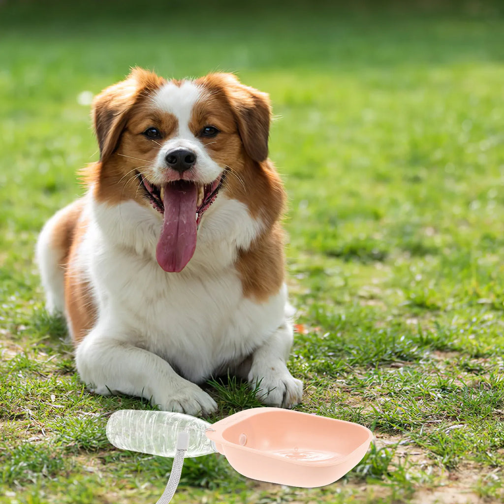 Pet Water Bottle Bowl Adapter Outdoor Portable Proof Travel Drinking