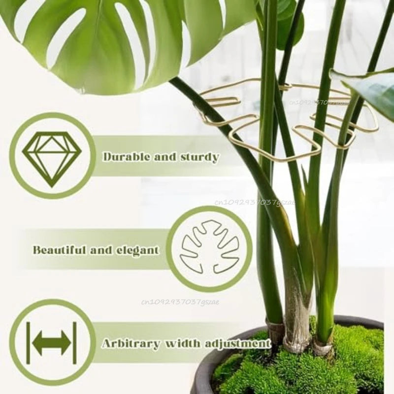 Anti-toppling Plant Stem Support No Nail Needed Multi-purpose Flower Climbing Stem Holder Vine Branch Monstera Stabilizer Zpaxo