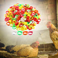 100 Pieces Poultry Foot Rings Foot Label Rings Chicken Marker Tag Poultry Leg Bands for Pigeon Ducks Goose Birds Chickens Zpaxo Default Title