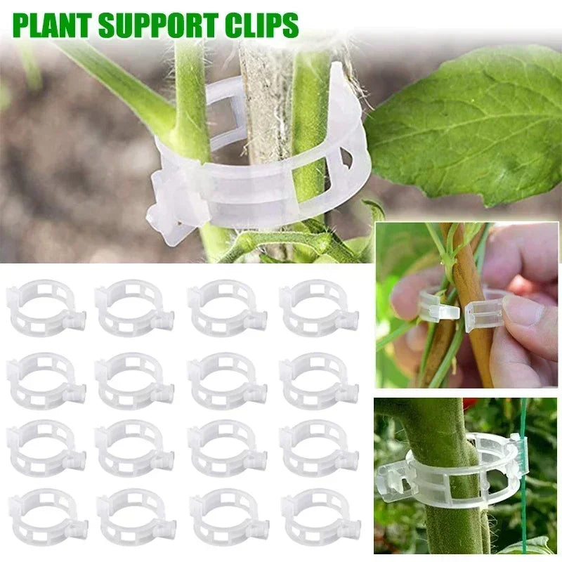 Hot Plant Clips Supports Reusable Plastic Connects Fixing Vine Tomato Stem Grafting Vegetable Plants Orchard and Garden Tools Zpaxo