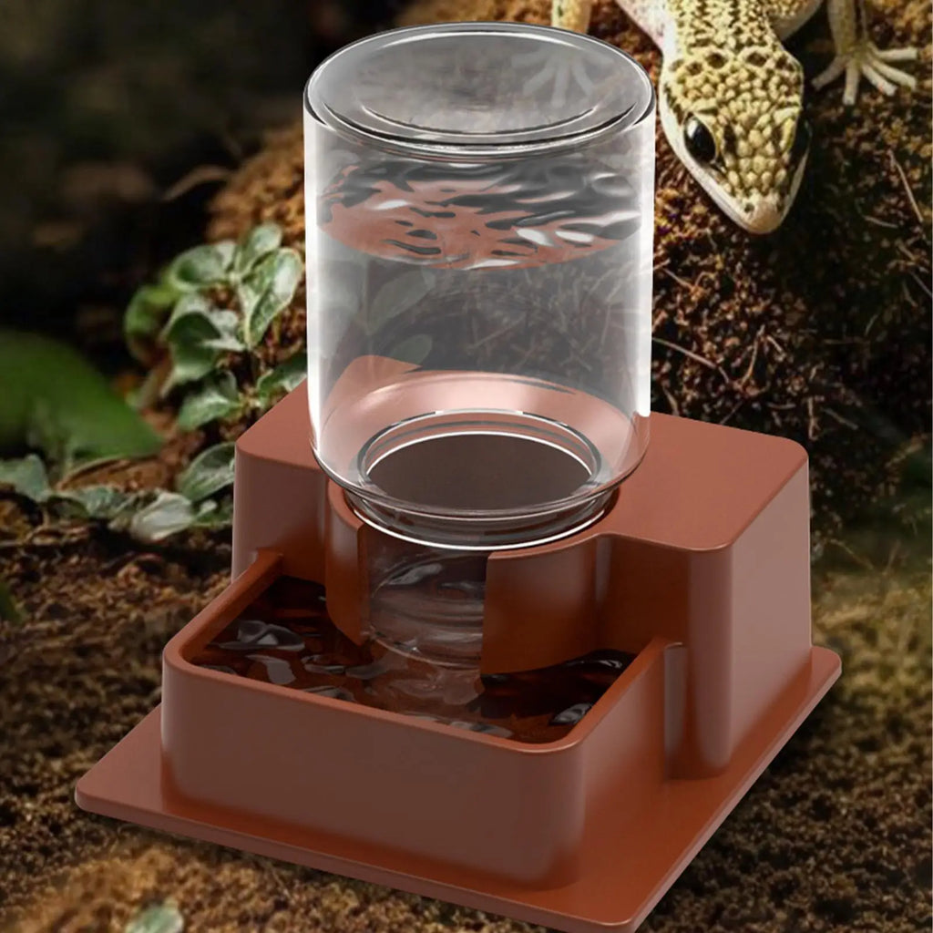 Automatic Reptile Feeder & Water Dispenser – Tortoise Gecko Reptile Water Feeder Zpaxo