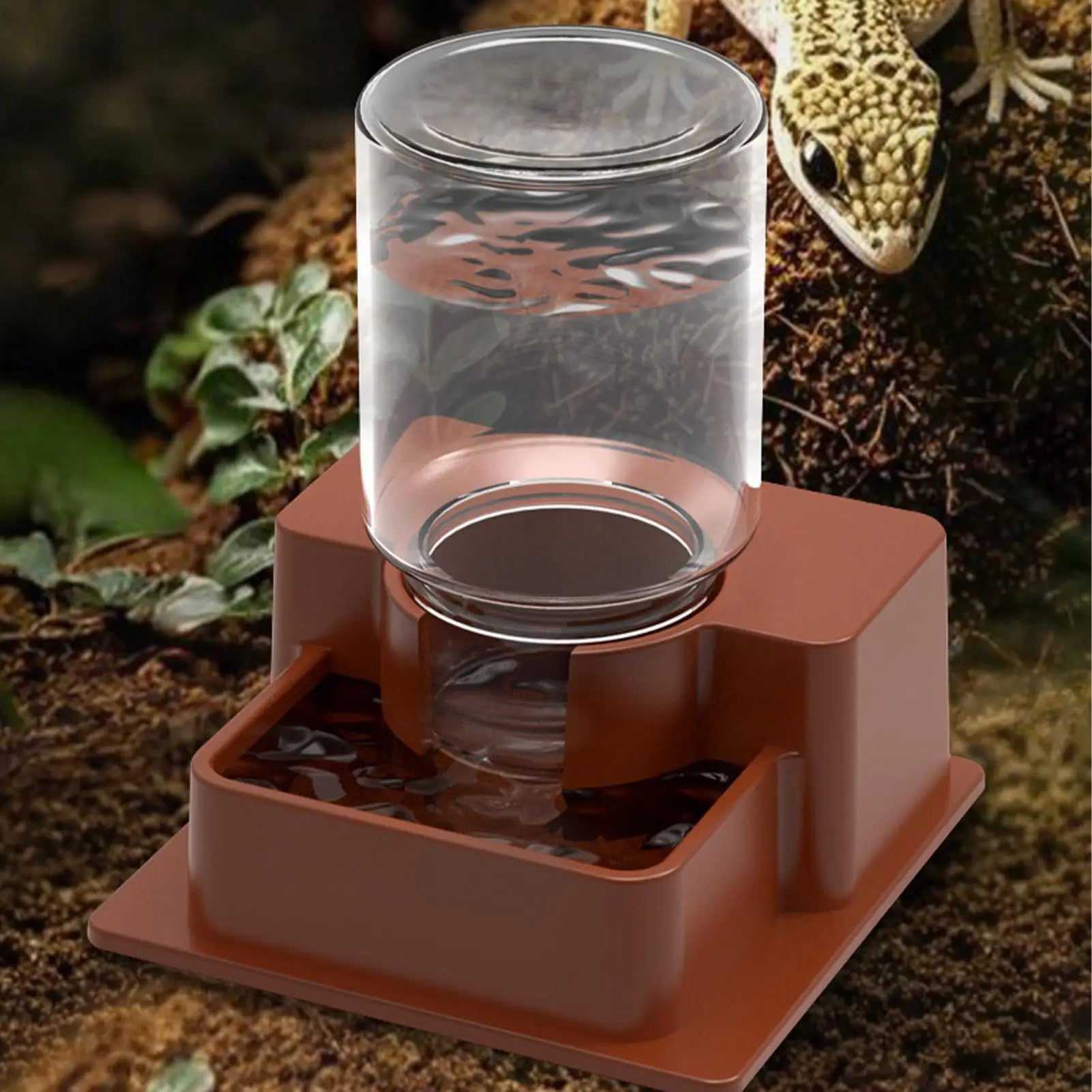 Automatic Reptile Feeder & Water Dispenser – Tortoise Gecko Reptile Water Feeder Zpaxo