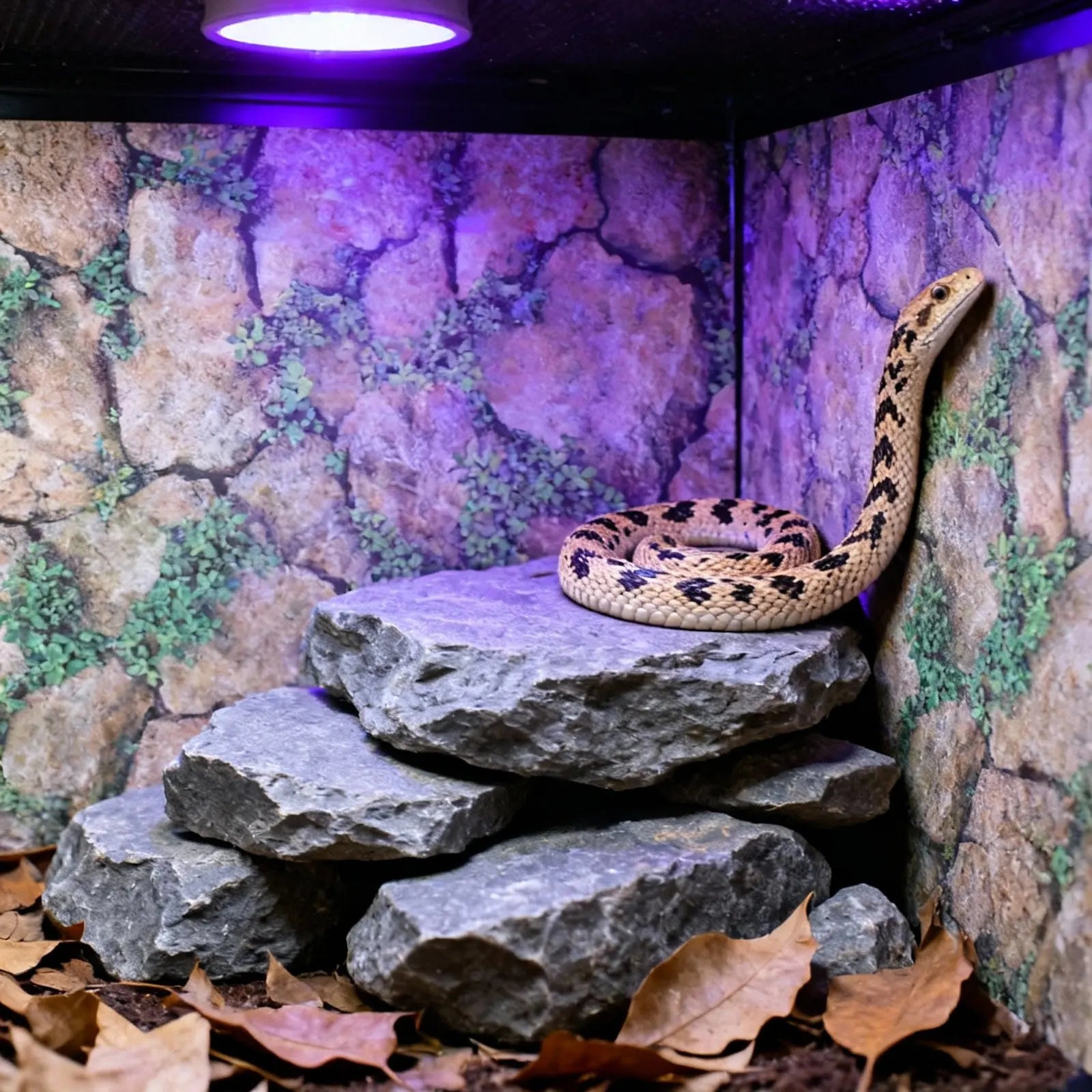 Reptile Tank Rocks Pattern Wallpaper Thickened Self-Adhesive Background Sticker Terrarium Decal Pet Box Wall Decor Reptile Case Zpaxo Default Title