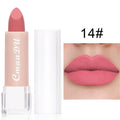 15 Colors Lipstick Waterproof Long Lasting Matte Velvet Mental Beauty Lip Gloss Nude Glitter Lip Gloss Beauty Red Lip Tint New Zpaxo 14 Sample Size