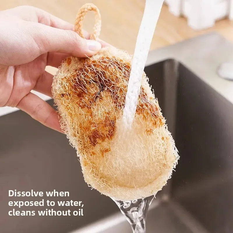 Double Layer Natural Loofah Sponge Dish Scrubber Vegetable Fiber Reusable Eco Friendly Oil Stain Remover With Hanging Rope Zpaxo