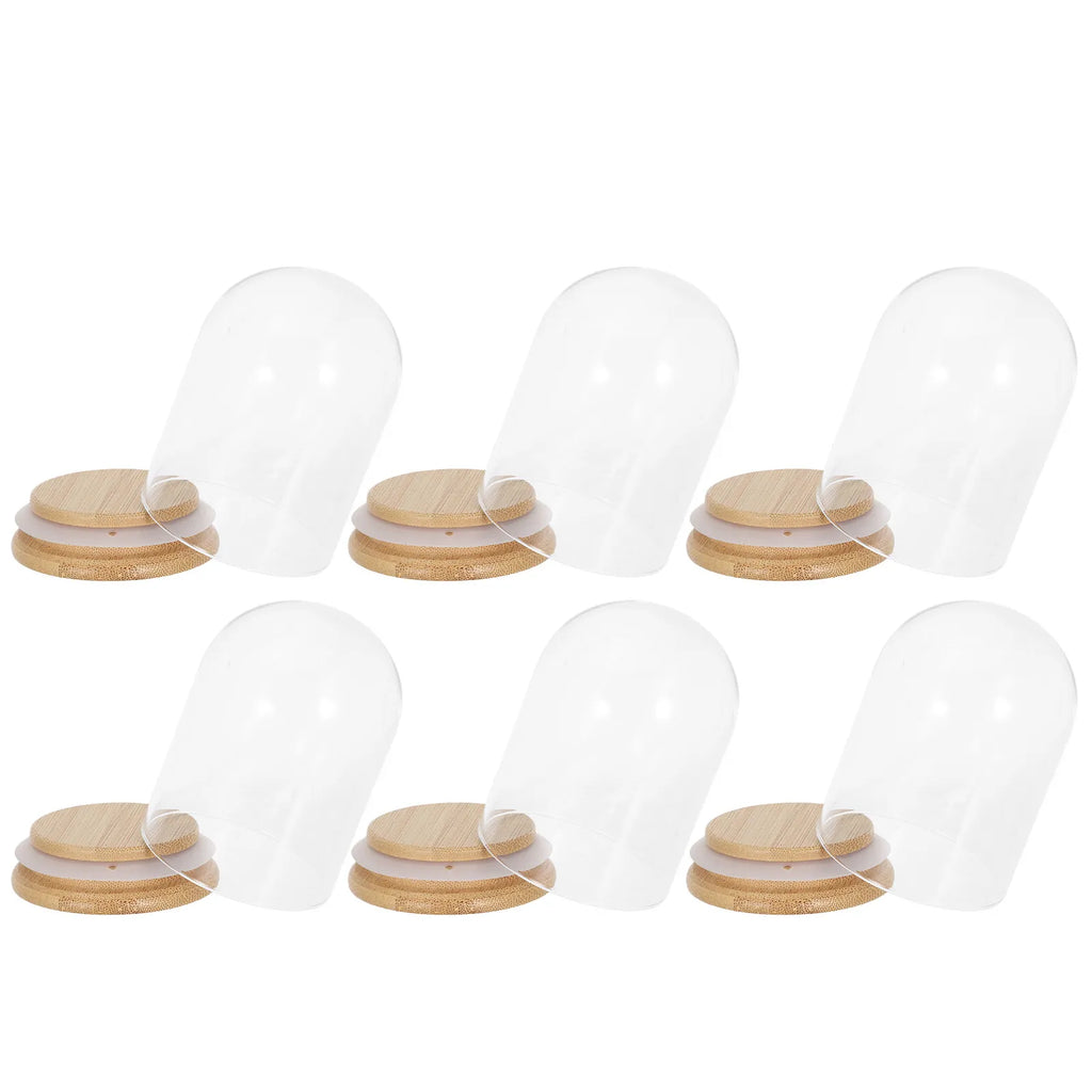 Glass Cloche Dome Display Clear 2 8x2 Inch Wooden Base Dustproof Seal