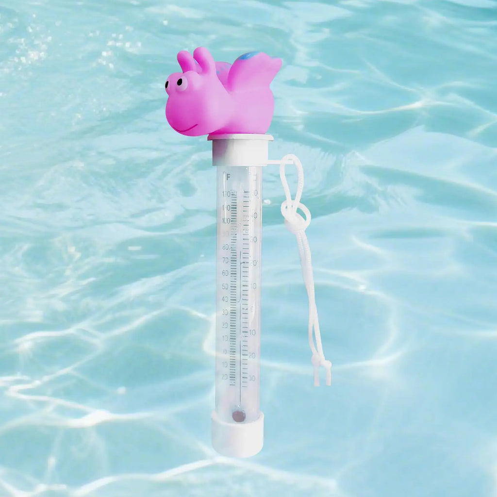 Floating Pool Gauge Cartoon Temperature Double Scale Display Temp Zpaxo