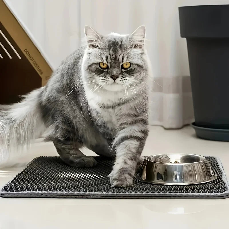 Extra Large Double-layer Leak-proof Litter Mat Box Filter Prevent Pet