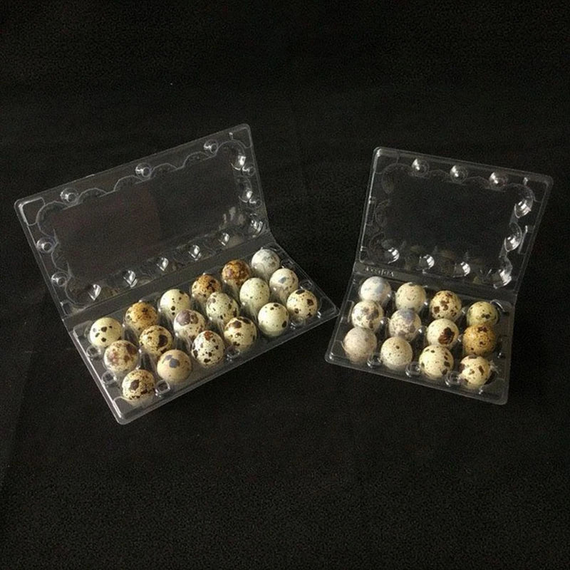 12 18 Hole Quail Egg Trays Thick Compression Resistant Buckle Folding