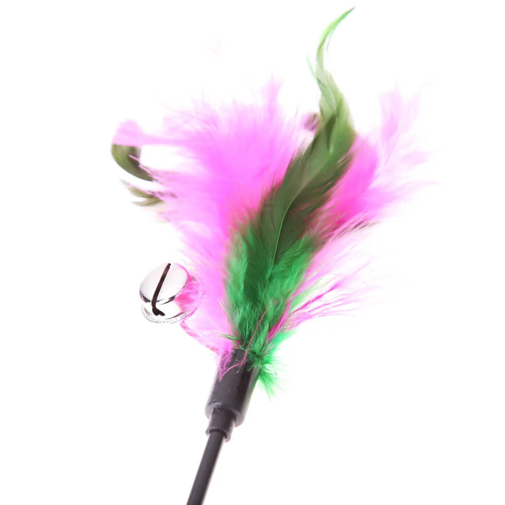 5pcs/set Interactive Funny Cat Stick Colorful Feather Cat Game Wand Exquisite Portable Creative Fashion Novelty Pet Cat Supplies Zpaxo