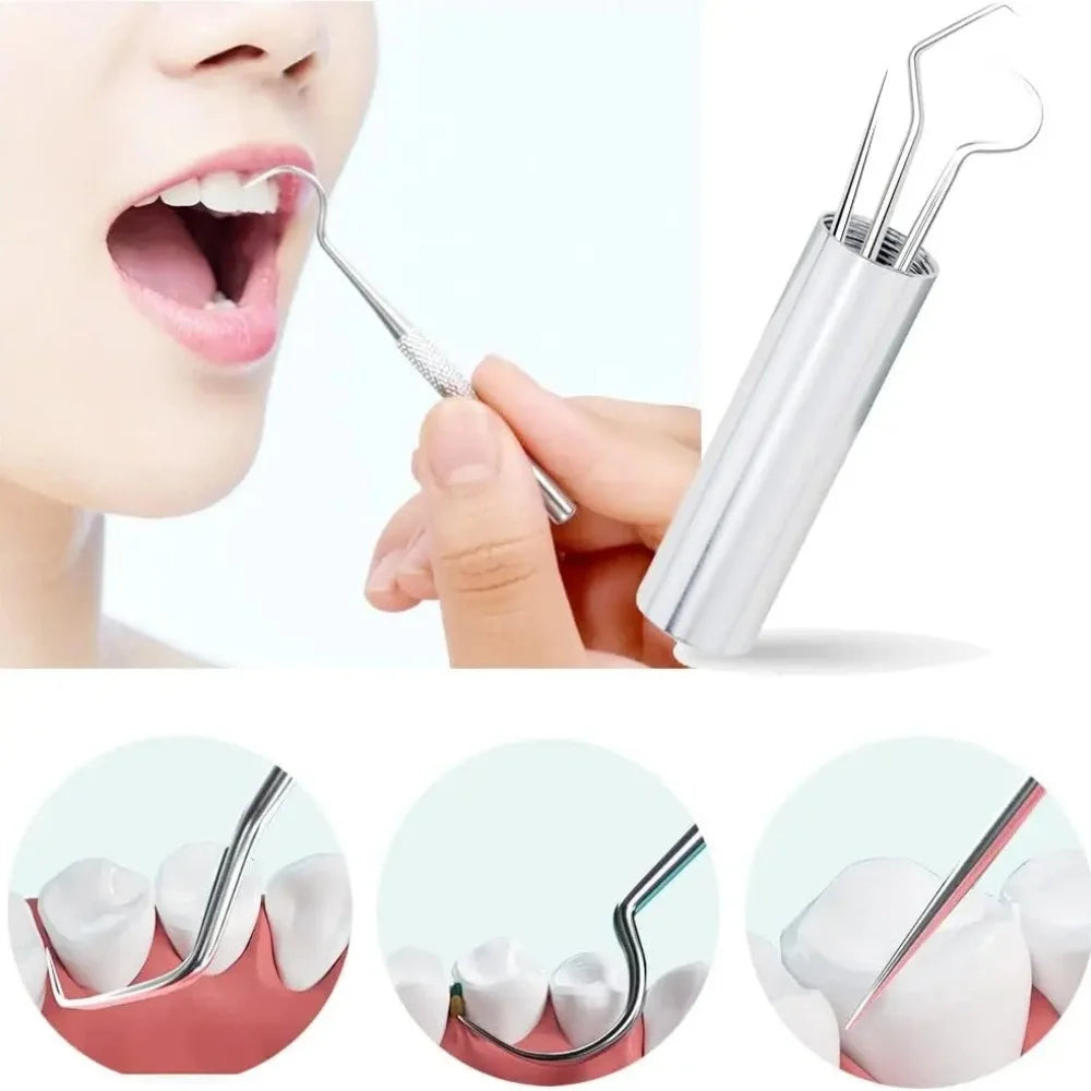 Reusable Stainless Steel Toothpick Set with Keychain Holder Dental Toothpick Set Zpaxo