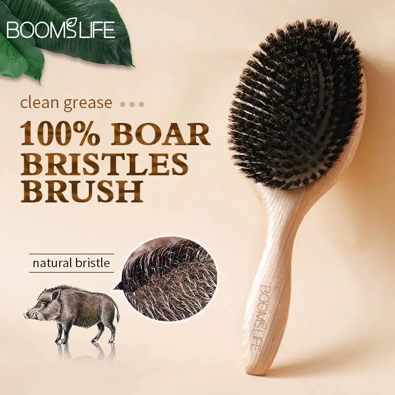 Boar Bristle HairBrush Wood Hair Brush Peine OAK Wood Combs for Women Barber Beauty Care Paddle Scalp Massage Brush Zpaxo