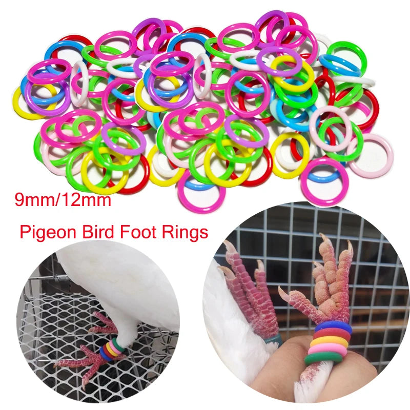 2025 Colorful Rubber Pigeons Marker Rings Better Training Efficiency