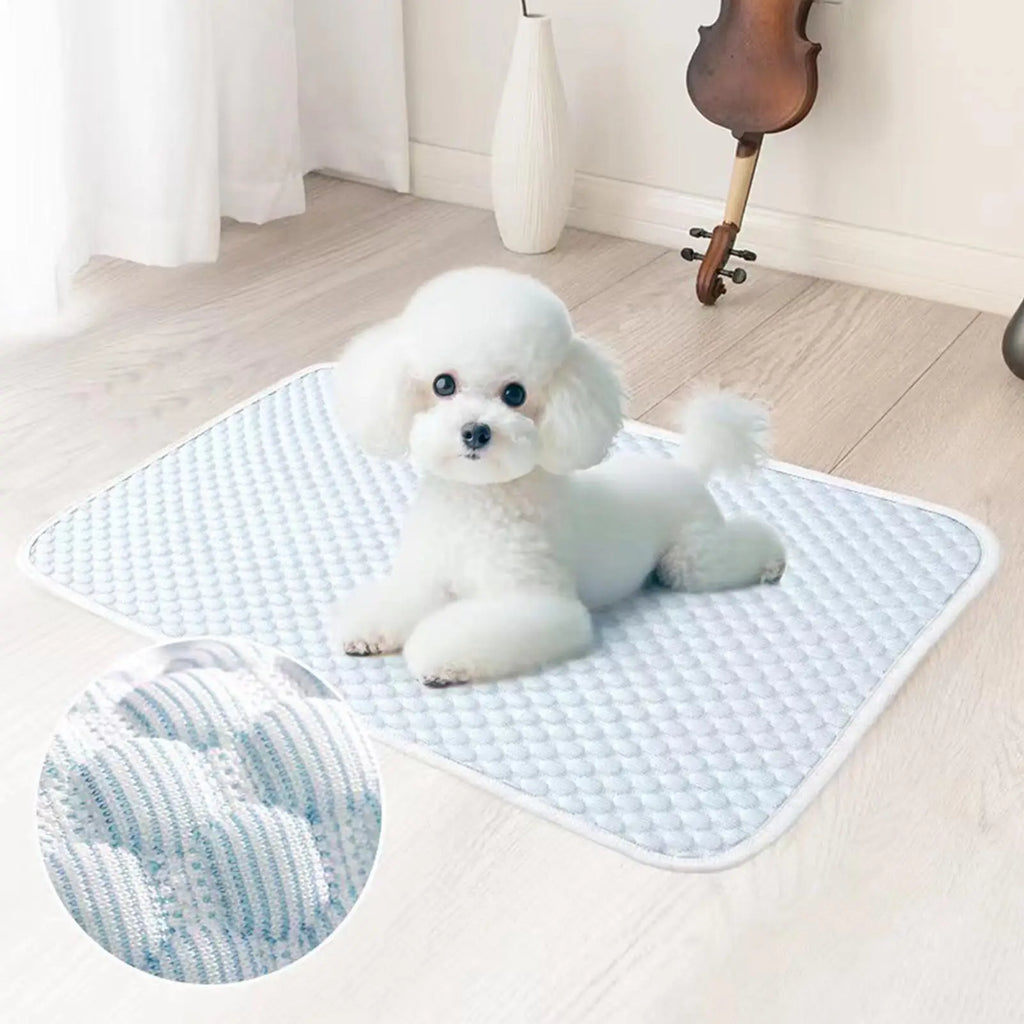 Pet Cooling Mat Ice Silk Portable Soft Summer Pet Supplies Long-Lasting Cat Dog Cooling Pad For Puppy Kitten Home Living Room Zpaxo China Mainland