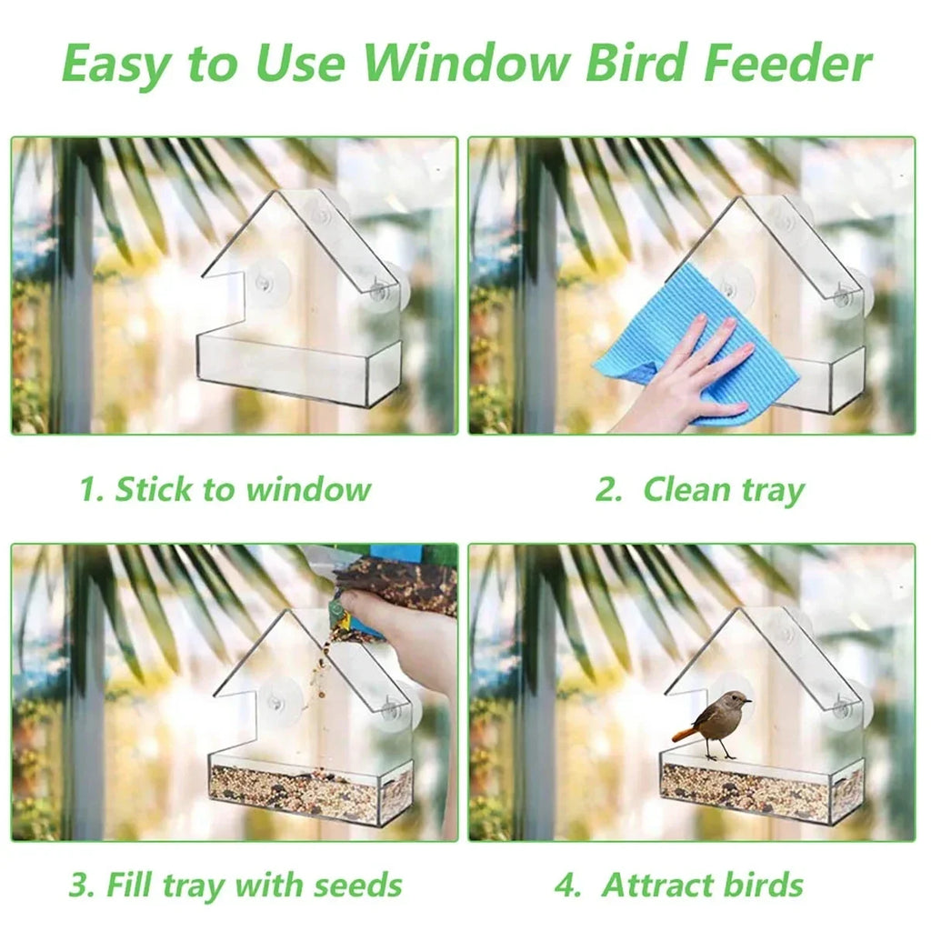 House Transparent Window Wild Bird Feeder Outdoor Removable Suction