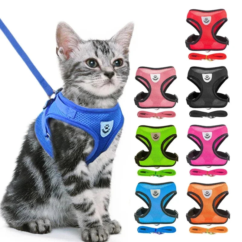 Cat Harness Vest Walking Lead Leash For Puppy Dogs Collar Polyester Adjustable Mesh Dog Harness For Small Medium Pet Accessories Zpaxo