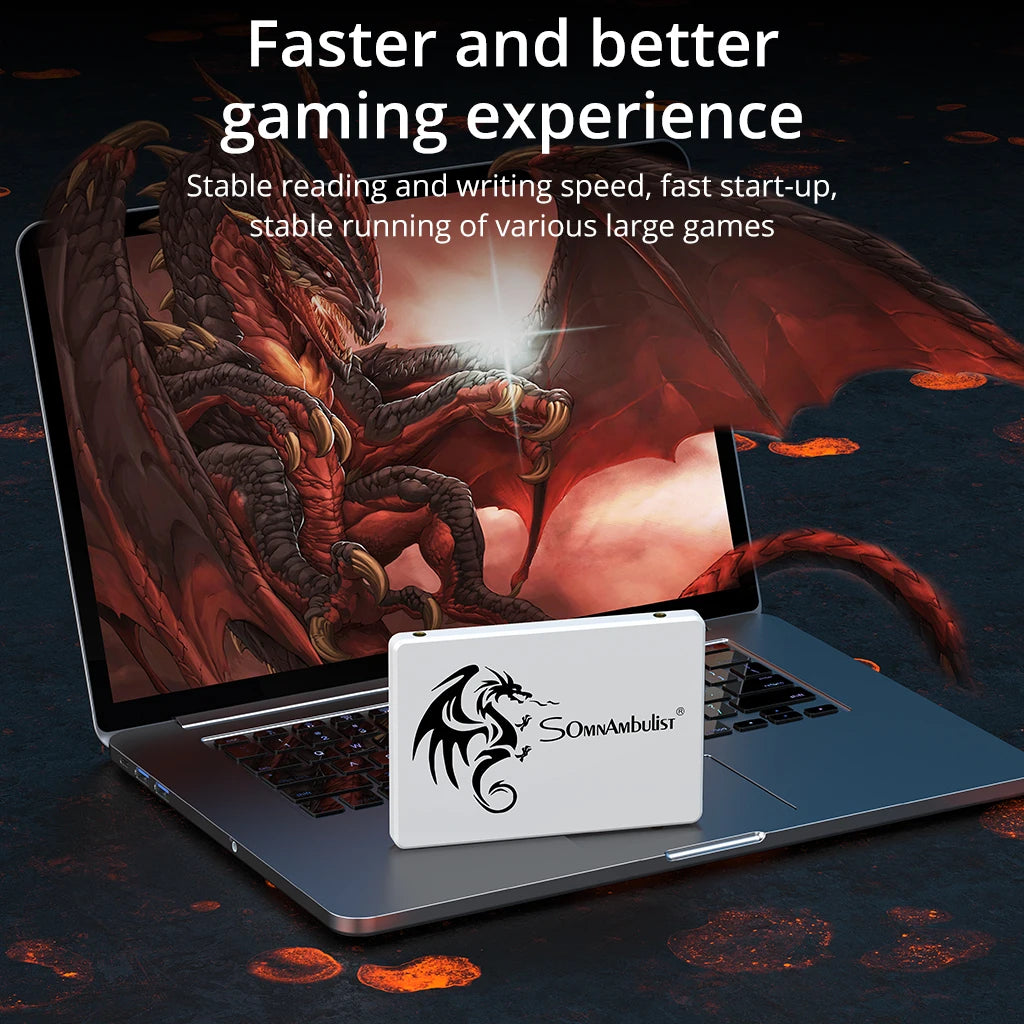 SomnAmbulist SSD 2.5 64GB 128GB 256GB 512GB for Laptop Desktop Solid State Drive Sata3 120GB 240GB 480GB Zpaxo