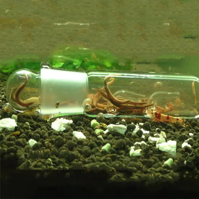 Glass Acrylic Snail Leech Vivarium Pest Catch Trap Shrimp Worm