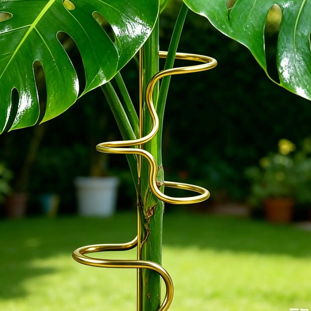 Metal Plant Stakes Monstera Stem Support Garden Stake Rose Fix Holder
