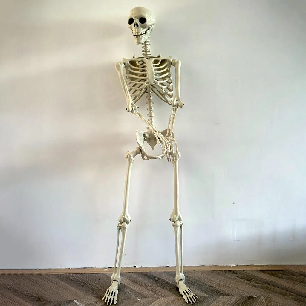 Halloween Realistic Body Bones Life Human Skeleton Posable Joints