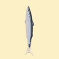 Creative Funny Fish Shaped Pen Bag Pens Crucian Carp Pencil Case Funny Student Stationery Supplies Storage Pens Organizer Zpaxo A3