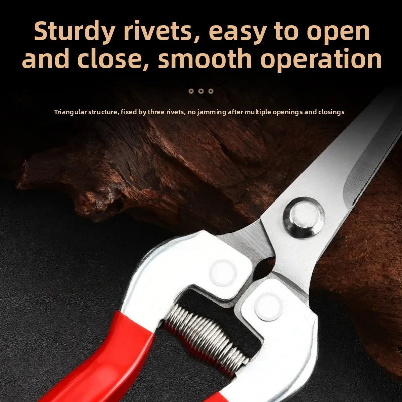 Stainless steel pruning shears, orchard fruit picking shears, orchard fruit trees, flower branches grafting scissors tools Zpaxo