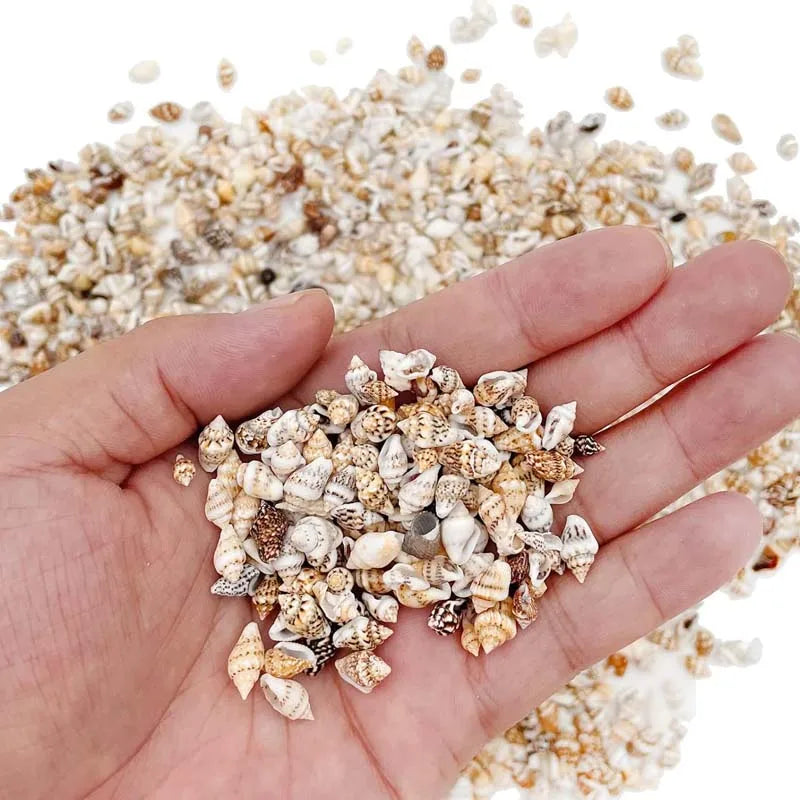 Tiny Sea Shells, Mixed 20g about 100pcs Ocean Beach Spiral Seashells Craft Charms for Home Decorations Candle Making, DIY Crafts Zpaxo 20g about 100pcs