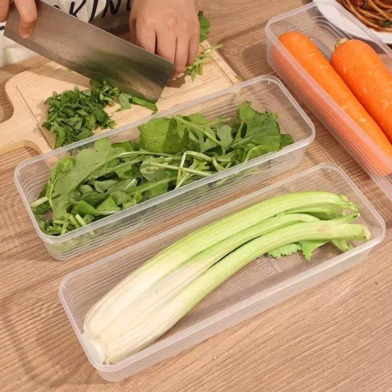 Fresh Box Fridge Herb & Scallion Storage Container with Lid