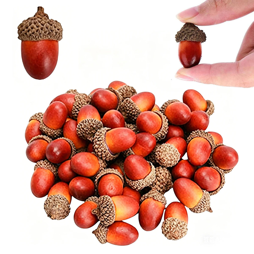 Artificial Acorns with Caps – Fall Decor & DIY Crafts 5/10 PCS