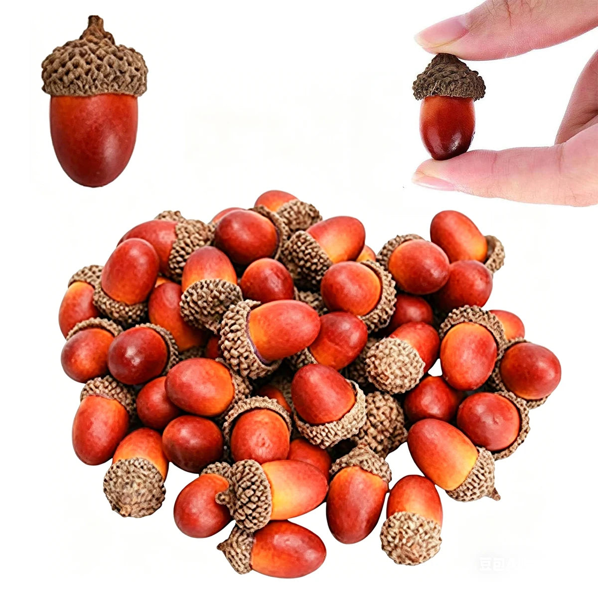 Artificial Acorns with Caps – Fall Decor & DIY Crafts 5/10 PCS