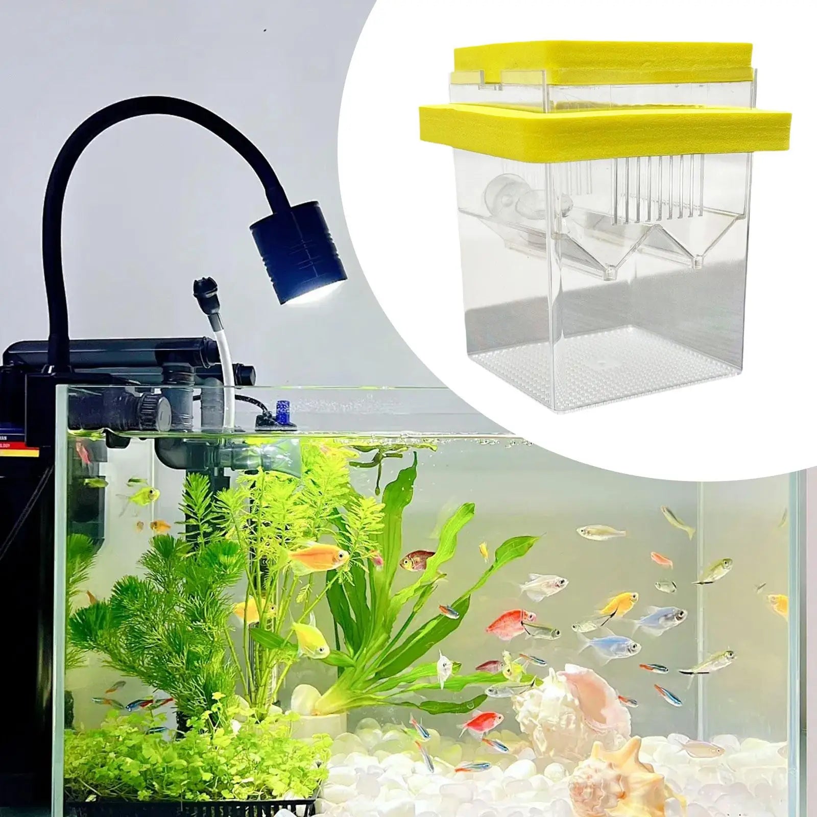 Floating Fish Breeding Box Nursery Tank Hatchery Incubation Small Zpaxo