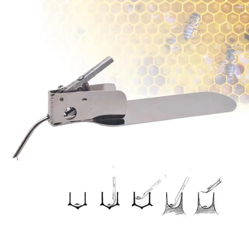 Beekeeping Grafting Tool Single End Queen Bee Larva Needle