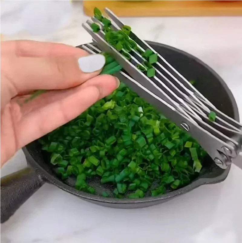 Multi-Layer Stainless Steel Herb & Scallion Scissors | 3 & 5 Blade Herb Scissors Zpaxo