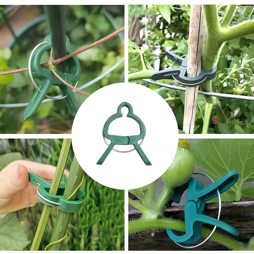 50 30 Adjustable Plant Clips Reusable Garden Support Flowers Vines Zpaxo