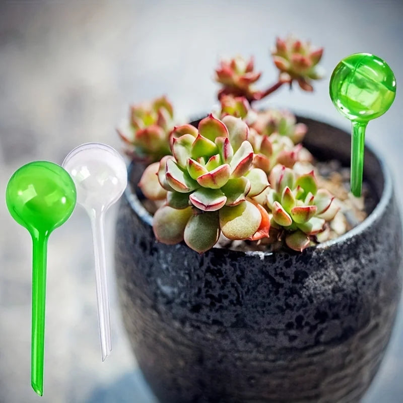 5 Automatic Plant Water Feeders Watering Indoor Outdoor Flower Pot Zpaxo