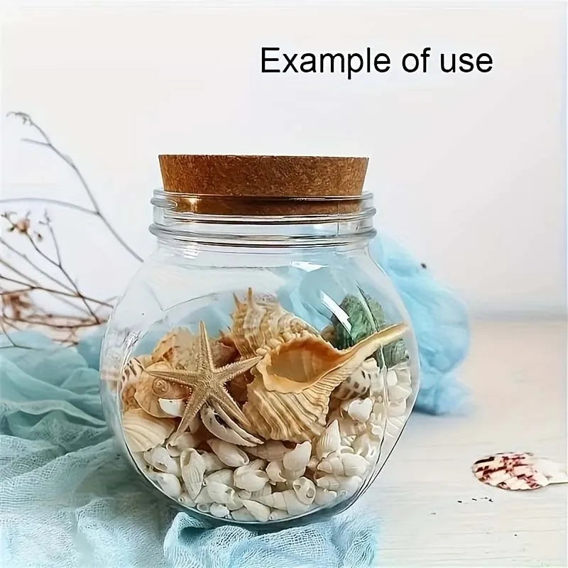 200-Pack Natural Mini White Spiral Conch Seashells for DIY Natural Craft Seashells Zpaxo