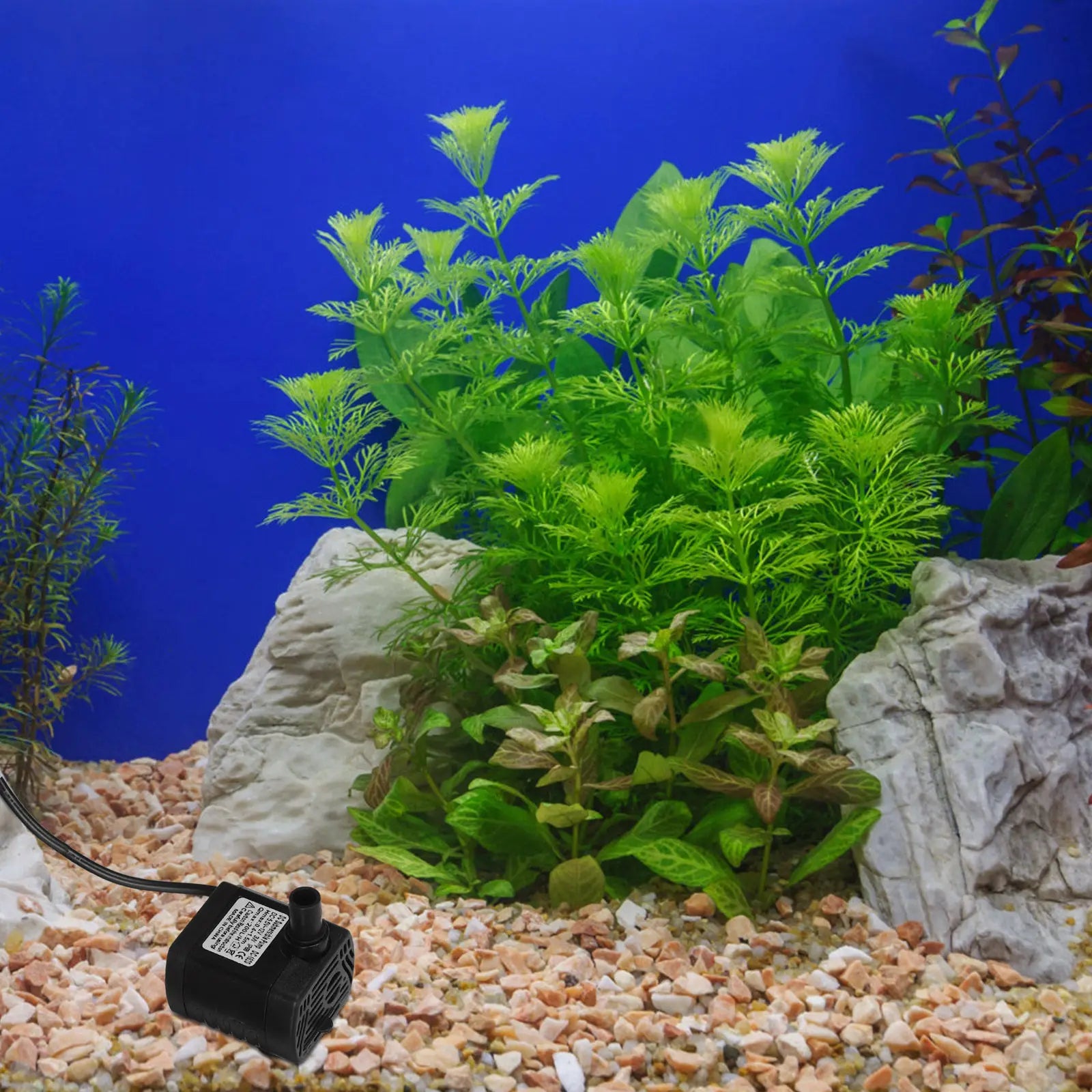 Dc-1020 Dc 12V 3W Adjustable Mini Aquarium Submersible Water Pump