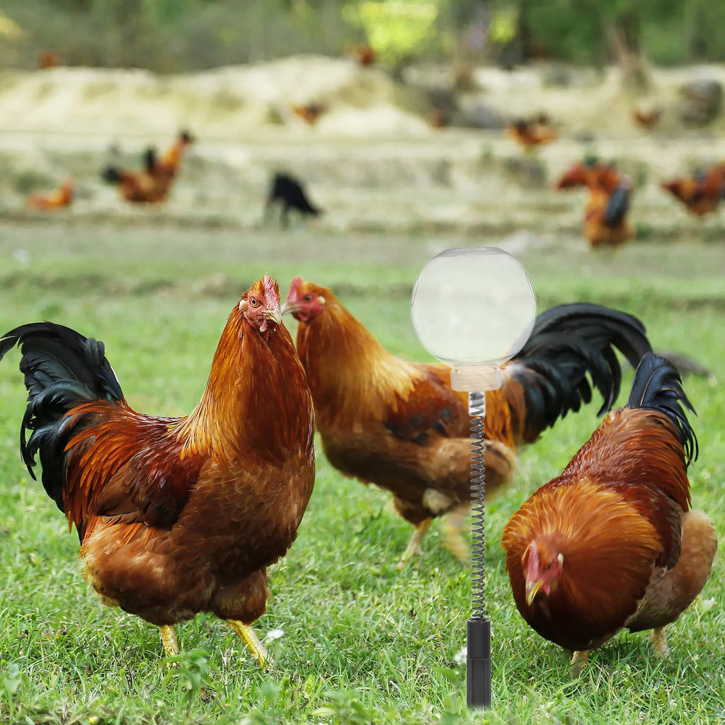 Chicken Enrichment Feeder Slow Release Wobble Dispenser Hanging Metal