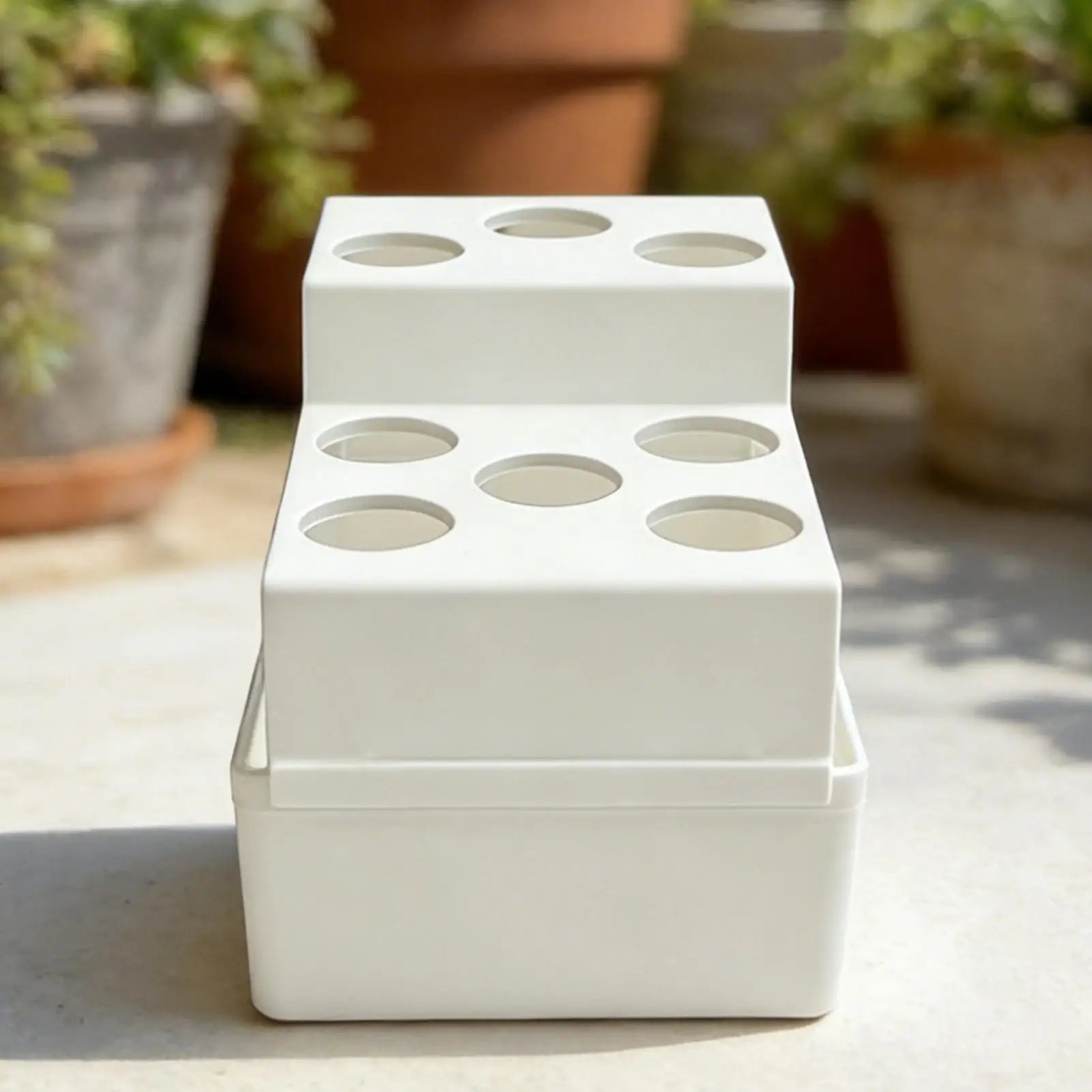 Scallion Regrower Hydroponic Sprouting Reusable Leakproof Planter