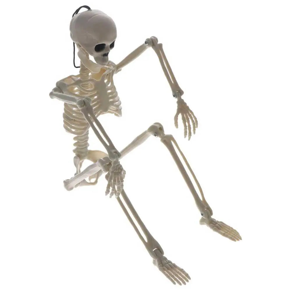 Decoration Skeleton Art Sketch Flexible Learn Aid Human Model Car Zpaxo White